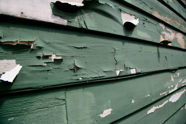 Best Storm Damage Siding Repair  in Wright, FL